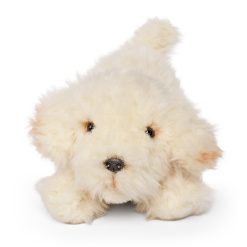 LIVING NATURE Labradoodle spielender Welpe