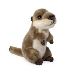 LIVING NATURE Otter Jungtier