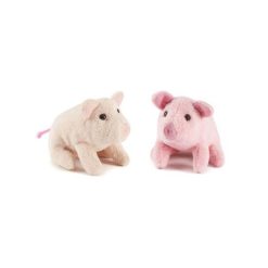 Schweinchen Mini Buddies
