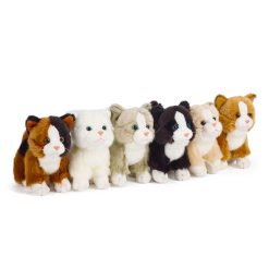 LIVING NATURE Kätzchen klein assortiert