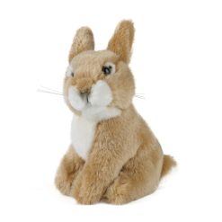 LIVING NATURE Feldhäschen sitzend