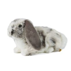 LIVING NATURE Holländisches Schlappohrkaninchen grau
