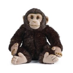 LIVING NATURE Schimpanse