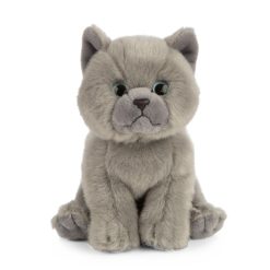 LIVING NATURE British Grey Kurzhaar Kätzchen