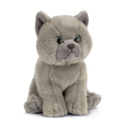 Alternative view of LIVING NATURE British Grey Kurzhaar Kätzchen