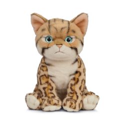 LIVING NATURE Bengalisches Kätzchen