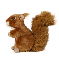 Alternative view of LIVING NATURE Eichhörnchen