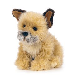 Alternative view of LIVING NATURE Border Terrier